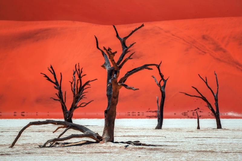 صور #صحراء #صحاري #قاحل #Desert عالية الوضوح #خلفيات - 135