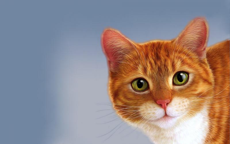 مجموعة صور منوعة #عيون #عين #Eyes عالية الوضوح - 34