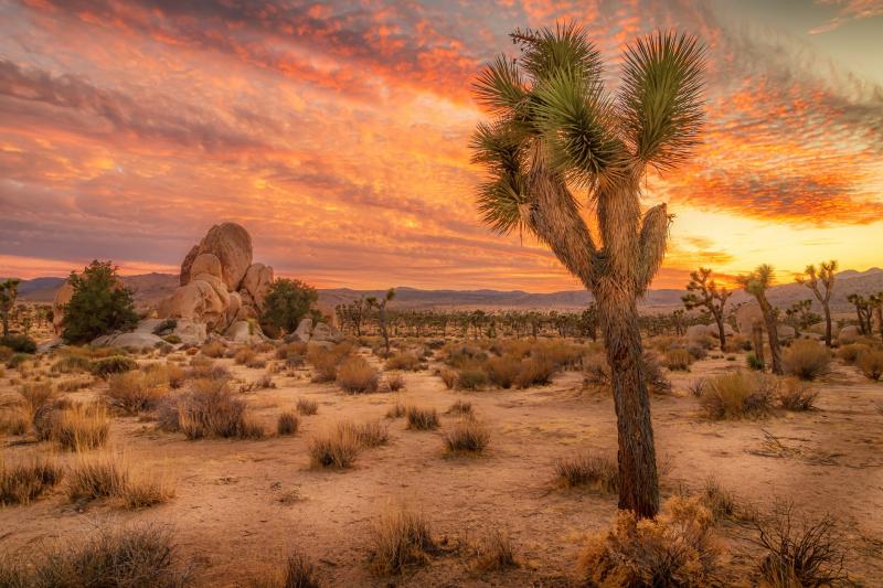 صور #صحراء #صحاري #قاحل #Desert عالية الوضوح #خلفيات - 130