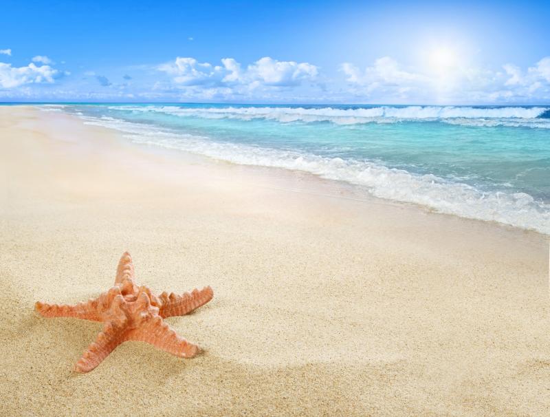 مجموعة صور #شواطئ #شاطئ #Beach عالية الوضوح #خلفيات #سياحة - 210