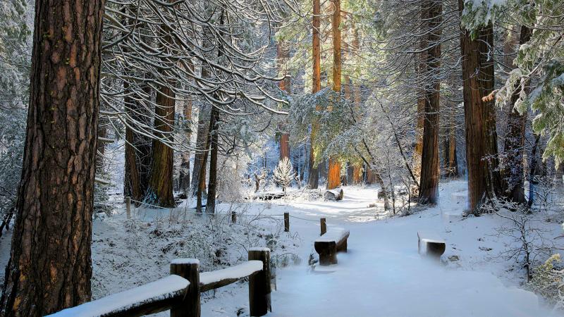#خلفيات #شتاء #Winter عالية الوضوح - 222