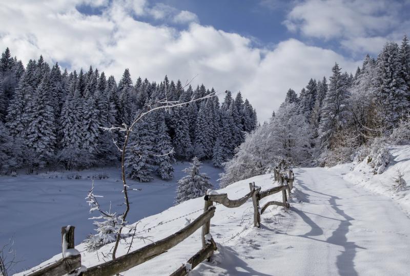 #خلفيات #شتاء #Winter عالية الوضوح - 223