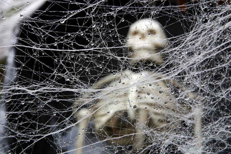 صور #هيكل_عظمي #Skeleton #رعب #Horror عالية الوضوح - 22