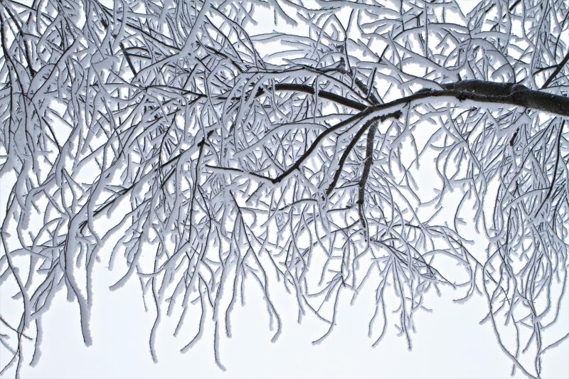 #خلفيات #شتاء #Winter عالية الوضوح - 191