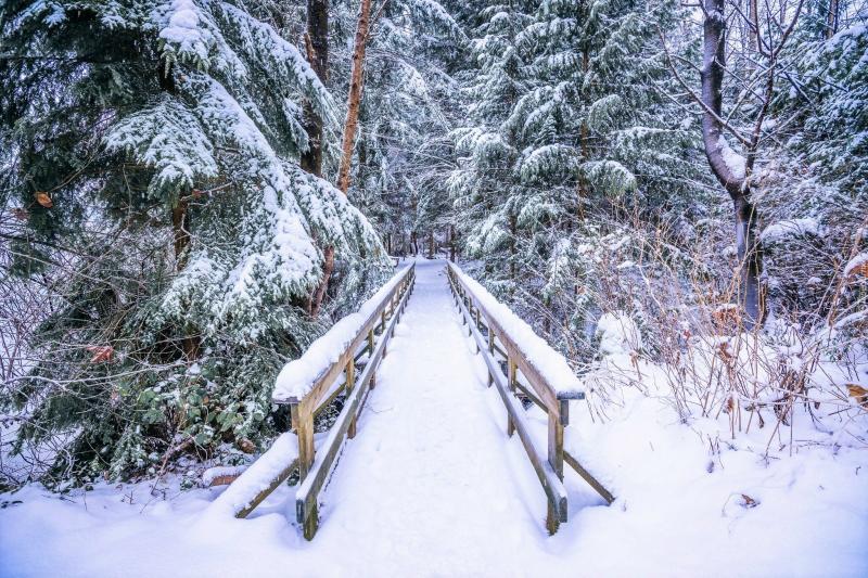 #خلفيات #شتاء #Winter عالية الوضوح - 224