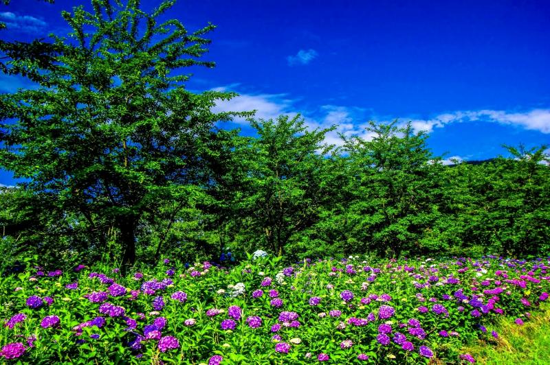 #خلفيات فصل ال #ربيع #Spring عالية الوضوح - 62