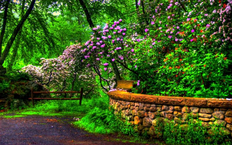 #خلفيات فصل ال #ربيع #Spring عالية الوضوح - 46