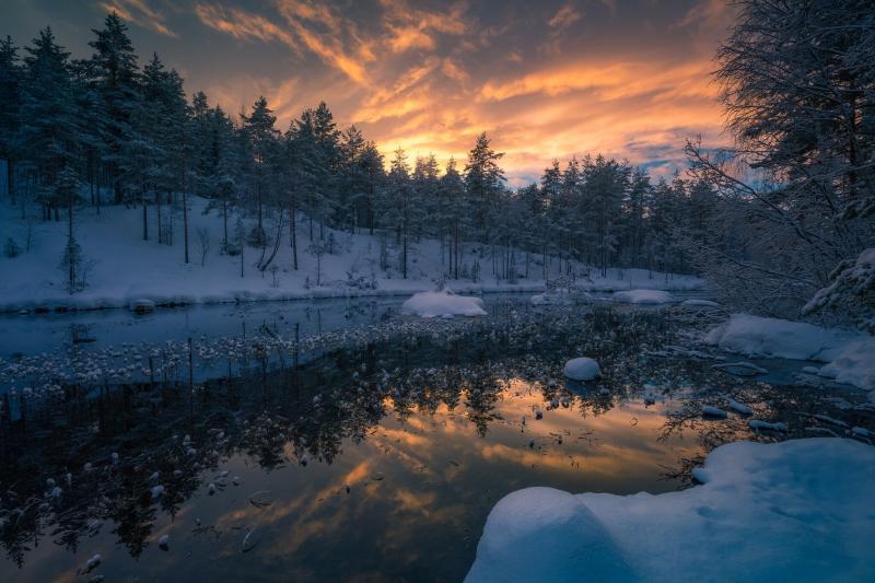 #خلفيات #شتاء #Winter عالية الوضوح - 221
