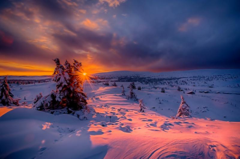 #خلفيات #شتاء #Winter عالية الوضوح - 213