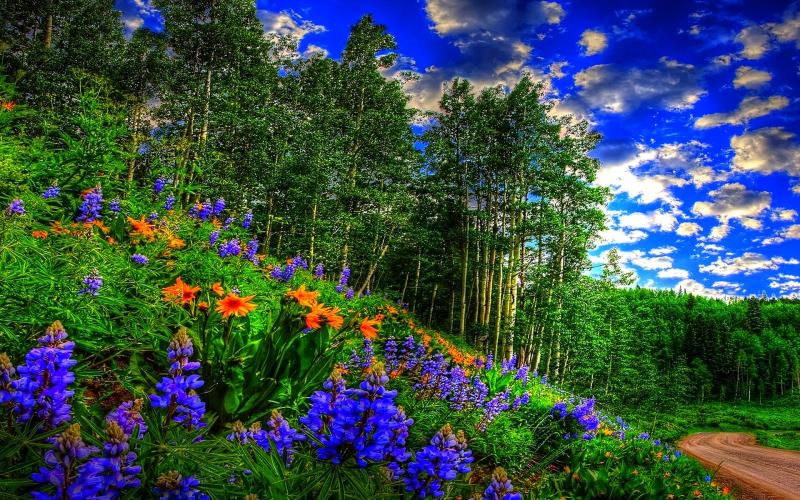 #خلفيات فصل ال #ربيع #Spring عالية الوضوح - 28