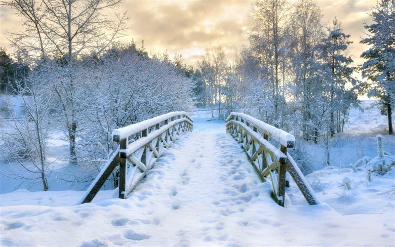 #خلفيات #شتاء #Winter عالية الوضوح - 203