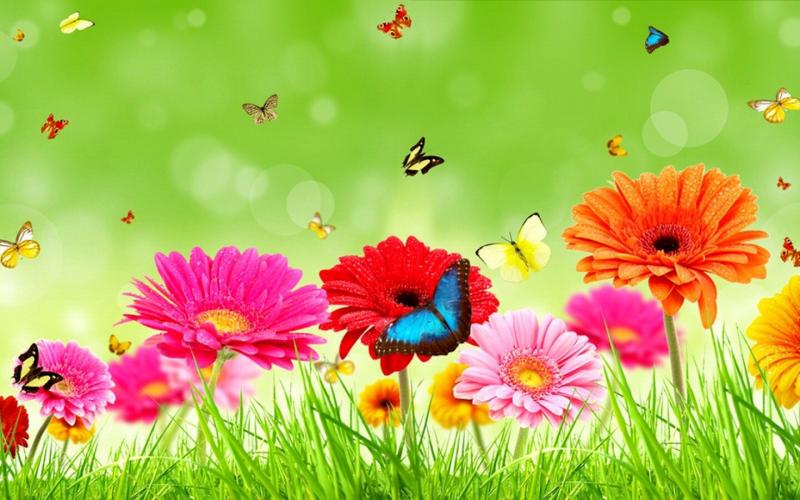 #خلفيات فصل ال #ربيع #Spring عالية الوضوح - 31