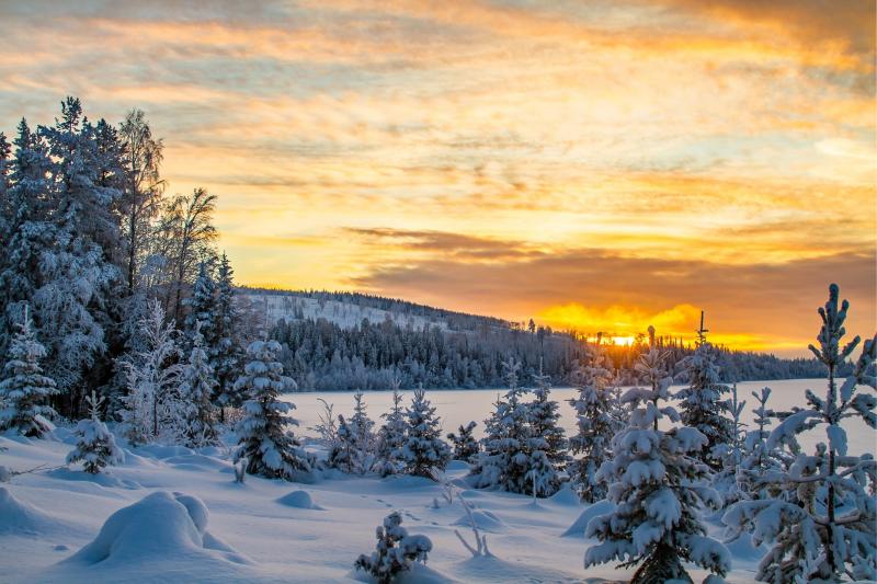 #خلفيات #شتاء #Winter عالية الوضوح - 208