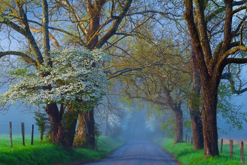 #خلفيات فصل ال #ربيع #Spring عالية الوضوح - 56
