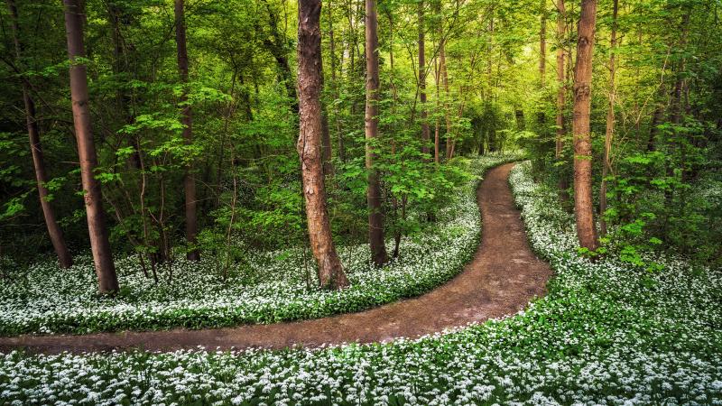 #خلفيات فصل ال #ربيع #Spring عالية الوضوح - 65