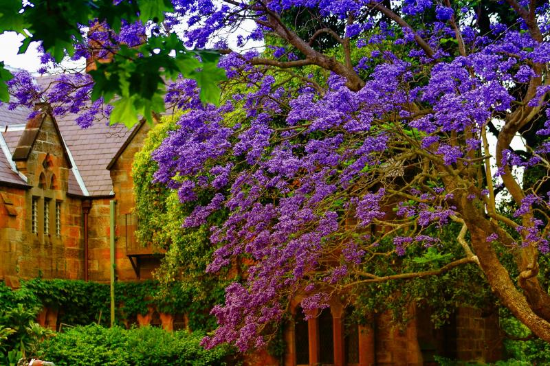 #خلفيات فصل ال #ربيع #Spring عالية الوضوح - 64