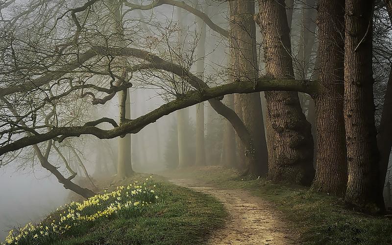 #خلفيات فصل ال #ربيع #Spring عالية الوضوح - 106