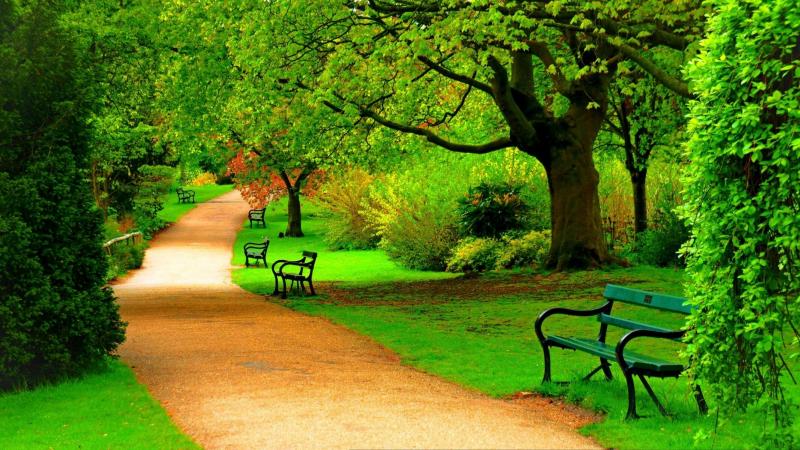 #خلفيات فصل ال #ربيع #Spring عالية الوضوح - 61
