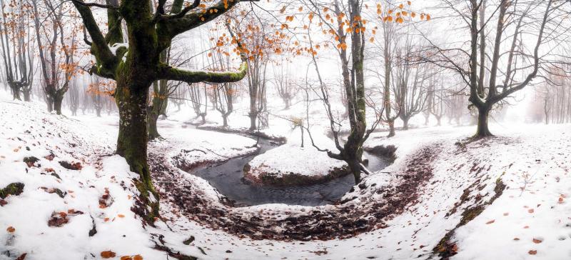 #خلفيات #شتاء #Winter عالية الوضوح - 212