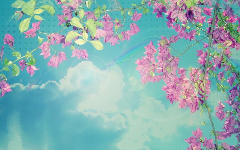 صور #أزهار #زهور #بلوسوم #Blossom منوعة عالية الوضوح #خلفيات - 73