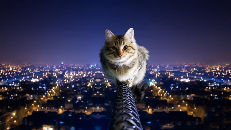 صور و #خلفيات #مدن في #الليل #Cities_Night عالية الوضوح - 22