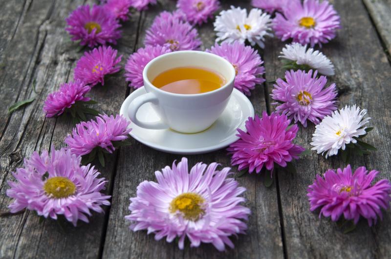صور #شاي #Tea منوعة عالية الوضوح #خلفيات - 79