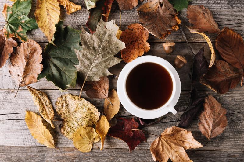 صور #شاي #Tea منوعة عالية الوضوح #خلفيات - 88