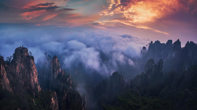 صور #ضباب #Fog #طبيعة #Nature عالية الوضوح - 108