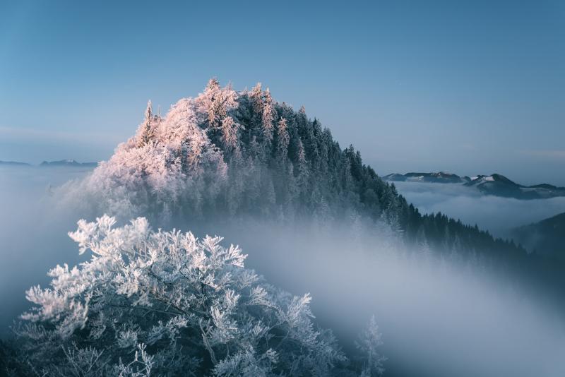 صور #ضباب #Fog #طبيعة #Nature عالية الوضوح - 92