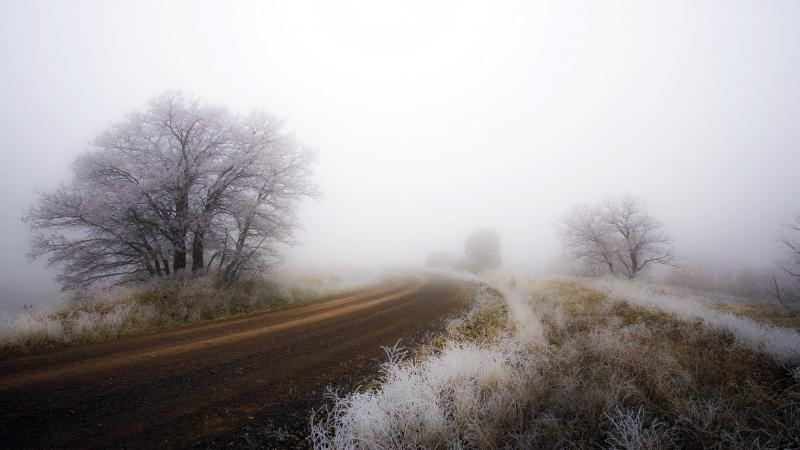 صور #ضباب #Fog #طبيعة #Nature عالية الوضوح - 87