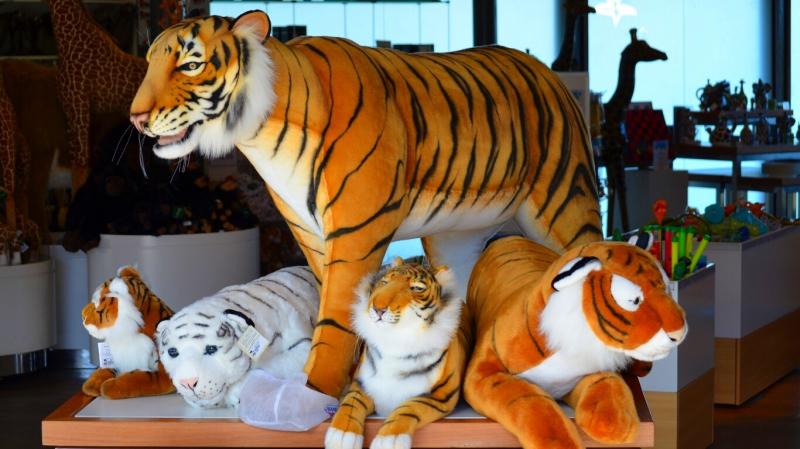 صور #ألعاب #لعبة #Toys #أطفال #Kids عالية الوضوح - 71