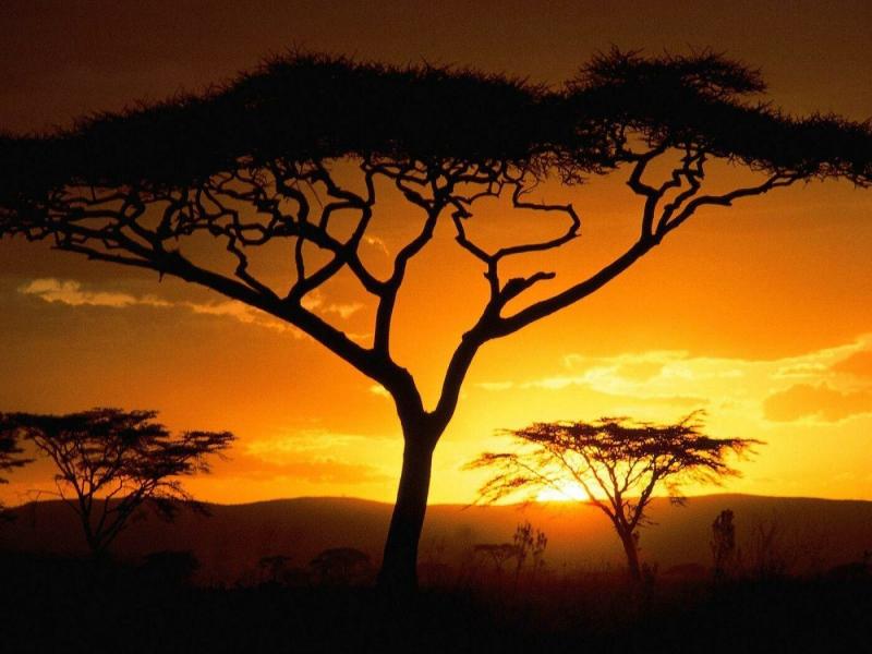صور من #أفريقيا #Africa عالية الوضوح - 14