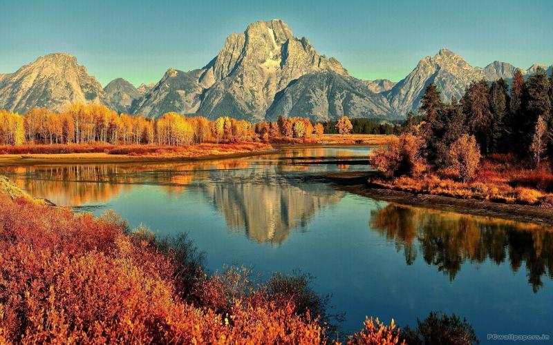 #خلفيات #طبيعة #Nature #خريف #Autumn عالية الوضوح - 15