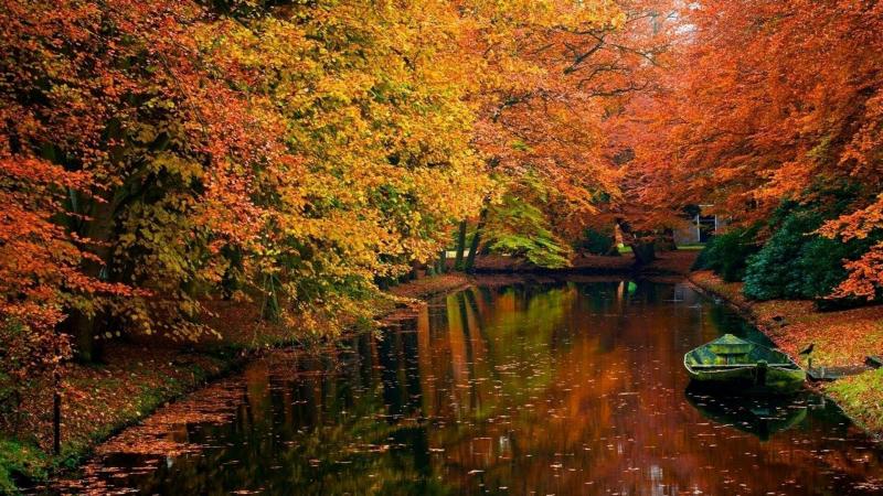 #خلفيات #طبيعة #Nature #خريف #Autumn عالية الوضوح - 9