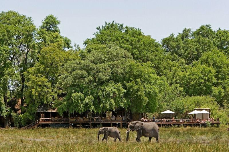 صور من #بوتسوانا #Botswana عالية الوضوح - 26