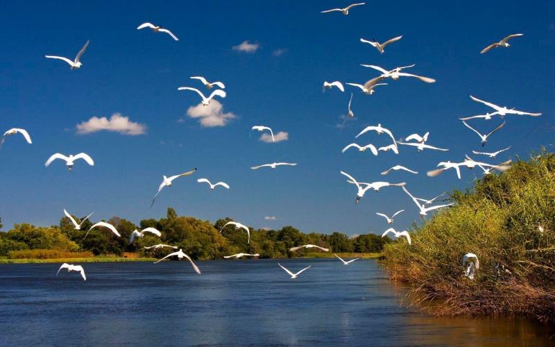 صور من #بوتسوانا #Botswana عالية الوضوح - 37
