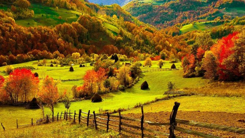 #خلفيات #طبيعة #Nature #خريف #Autumn عالية الوضوح - 5