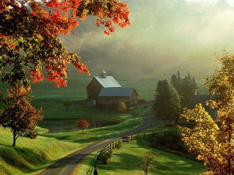 #خلفيات #طبيعة #Nature #خريف #Autumn عالية الوضوح - 2