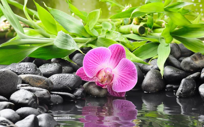 #خلفيات #يوجا #Yoga #توازن #Zen عالية الوضوح - 14