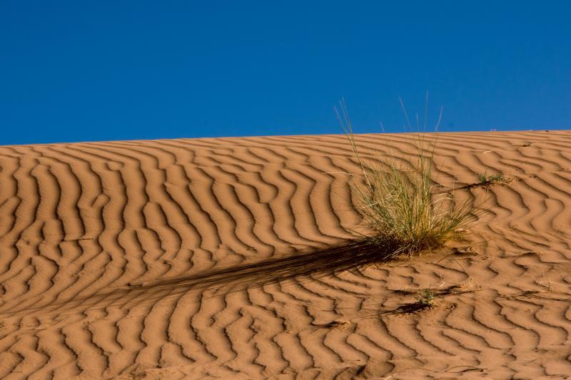 صور #صحراء #صحاري #Desert عالية الوضوح - 14