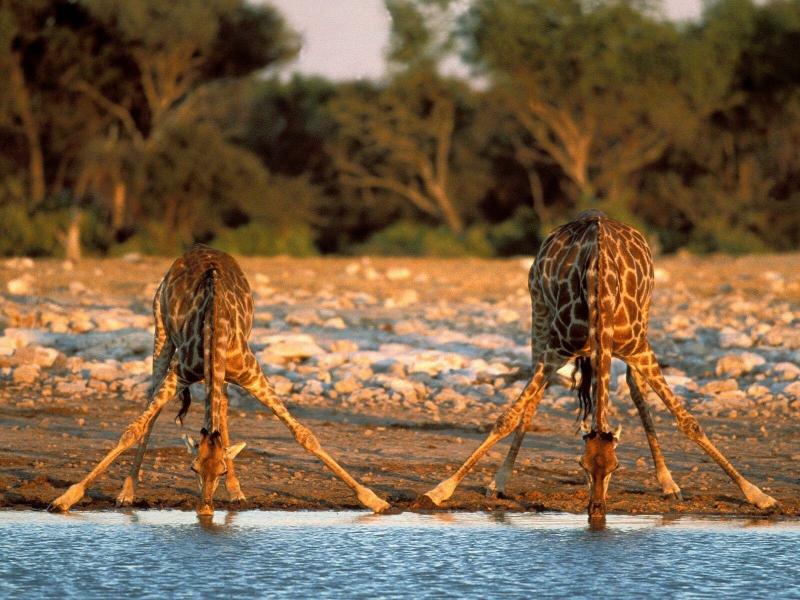 صور من #أفريقيا #Africa عالية الوضوح - 4
