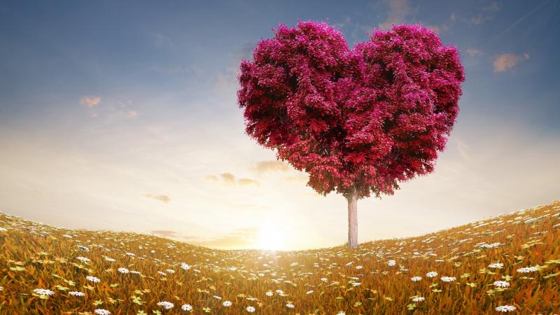 صور #قلب #Heart #حب #love #بنات عالية الوضوح - 612