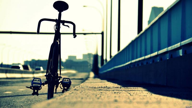 #دراجات_هوائية #Bicycle #رياضة #Sport عالية الوضوح - 243