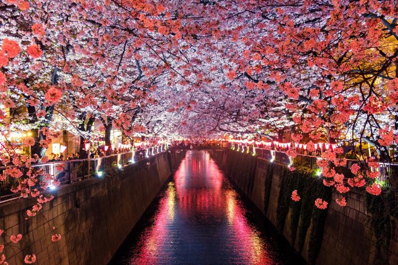 صور #قنوات #قناة #Canal #نهر #River عالية الوضوح - 92
