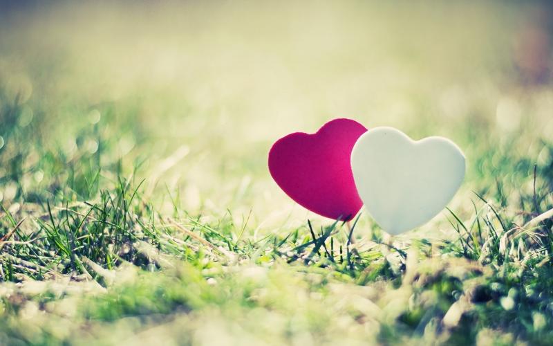 صور #قلب #Heart #حب #love #بنات عالية الوضوح - 232