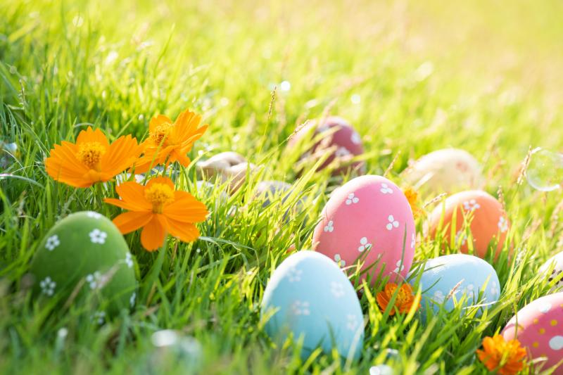 #خلفيات #عيد_الفصح #Easter عالية الوضوح #christian #مسيحي - 502