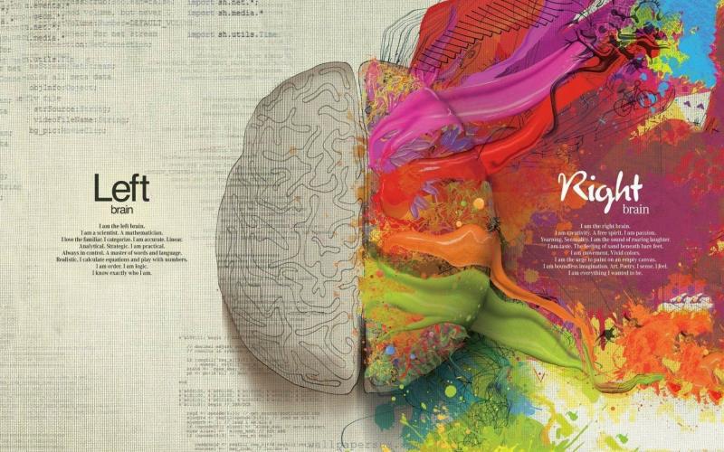#تشريح #anatomy #إنسان #human #جسم #Body #طب - 18