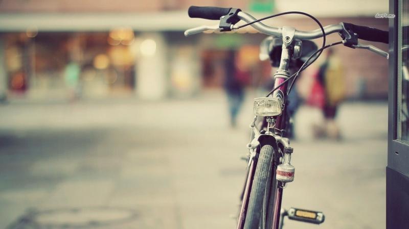 #دراجات_هوائية #Bicycle #رياضة #Sport عالية الوضوح - 257