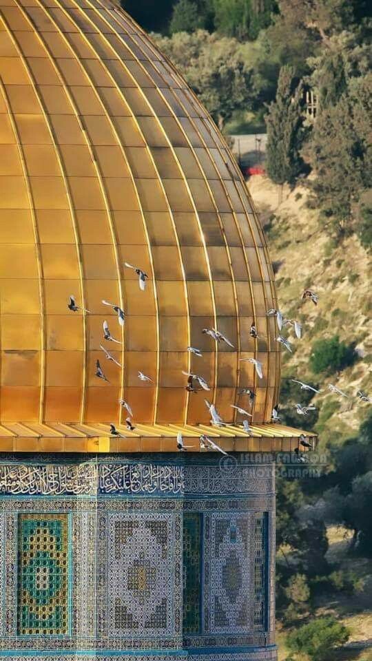 #مسجد #قبة_الصخرة #القدس #فلسطين - 15