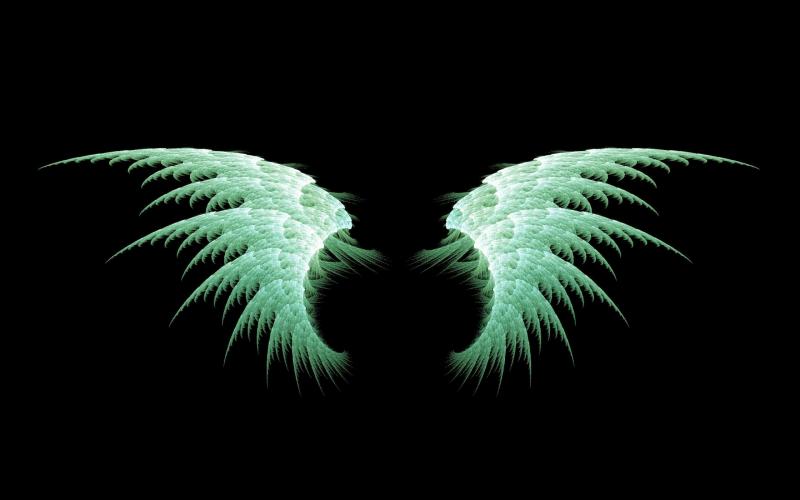#جناح #أجنحة #Wings #ملائكة #ملاك #Angels عالية الوضوح - 17